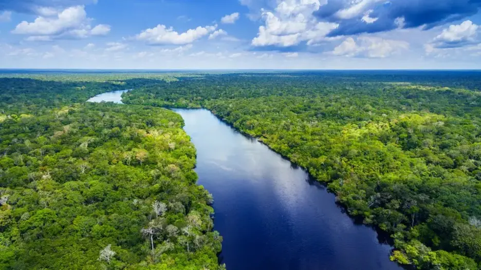 Vista aérea del río Amazonas