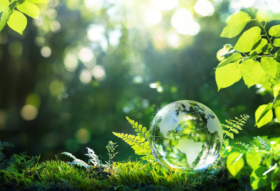 green earth globe