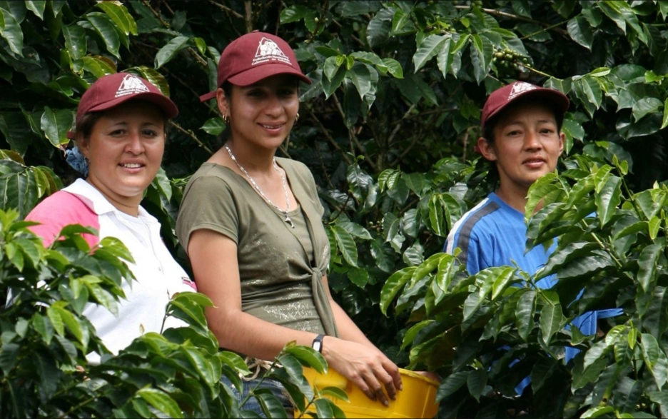 women coffee farmers