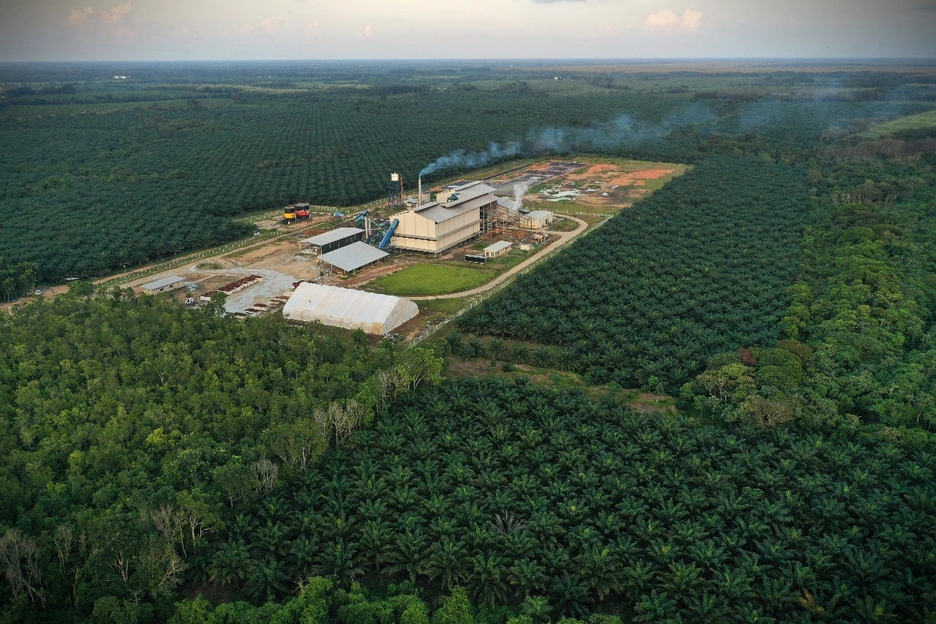Palm oil processing plant