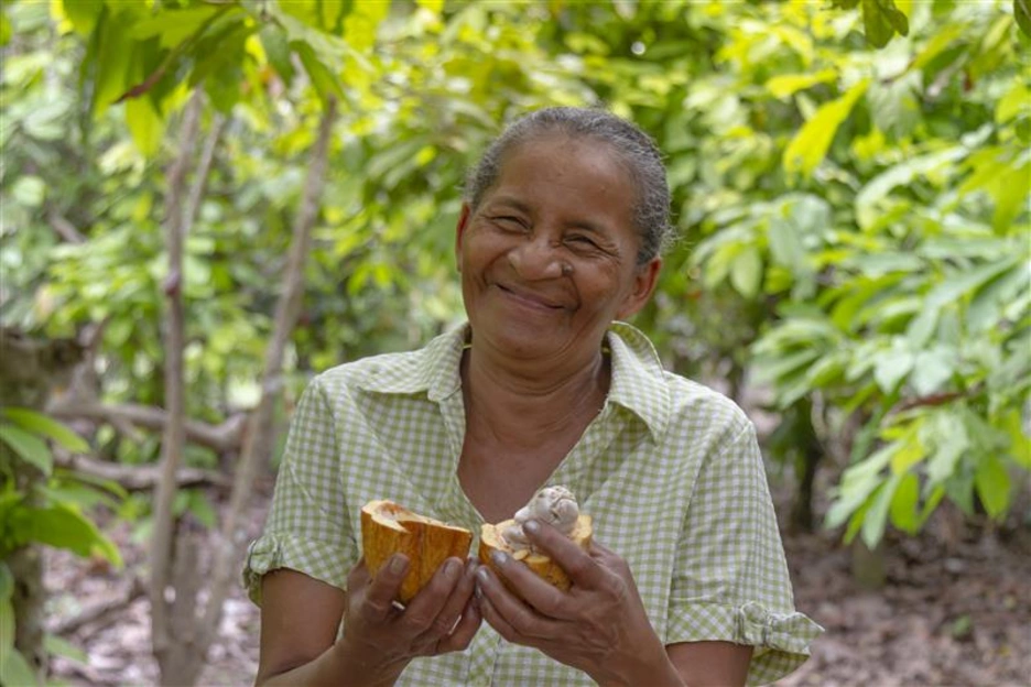 La foto muestra una mujer trabajando cultivando cacao en un proyecto de agricultura resiliente en América Latina 