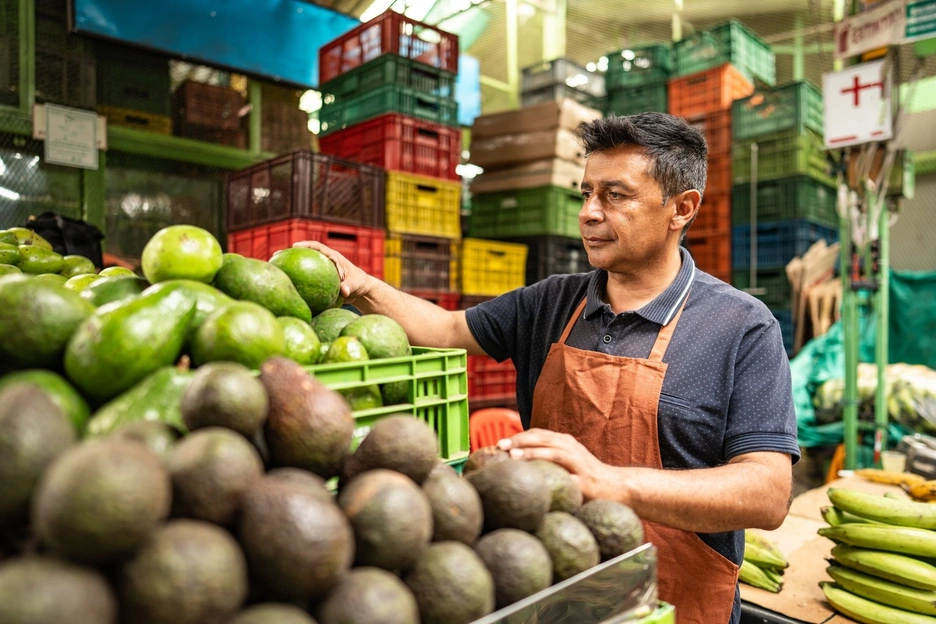 Un vendedor de paltas en Perú 