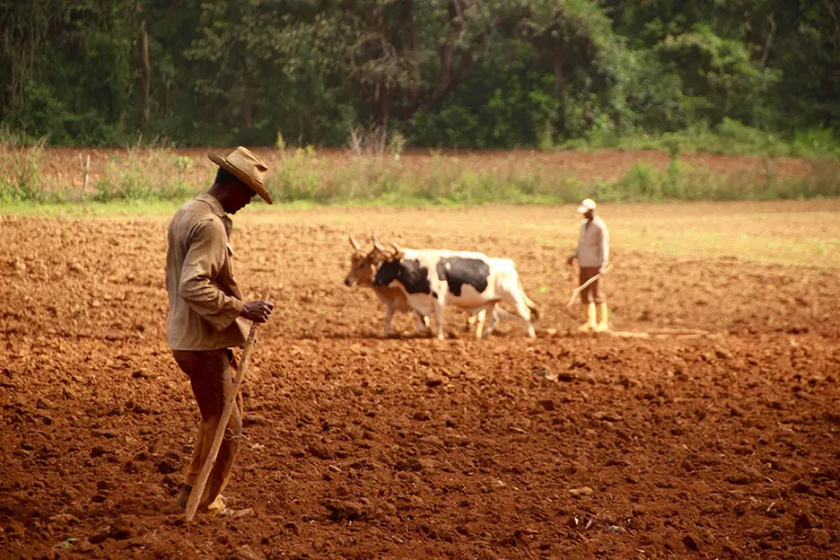 ¿Por qué la inclusión social es buena para los agronegocios?