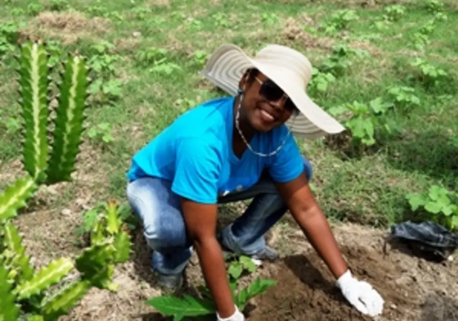 Un Modelo de Negocio para los Pequeños Agricultores